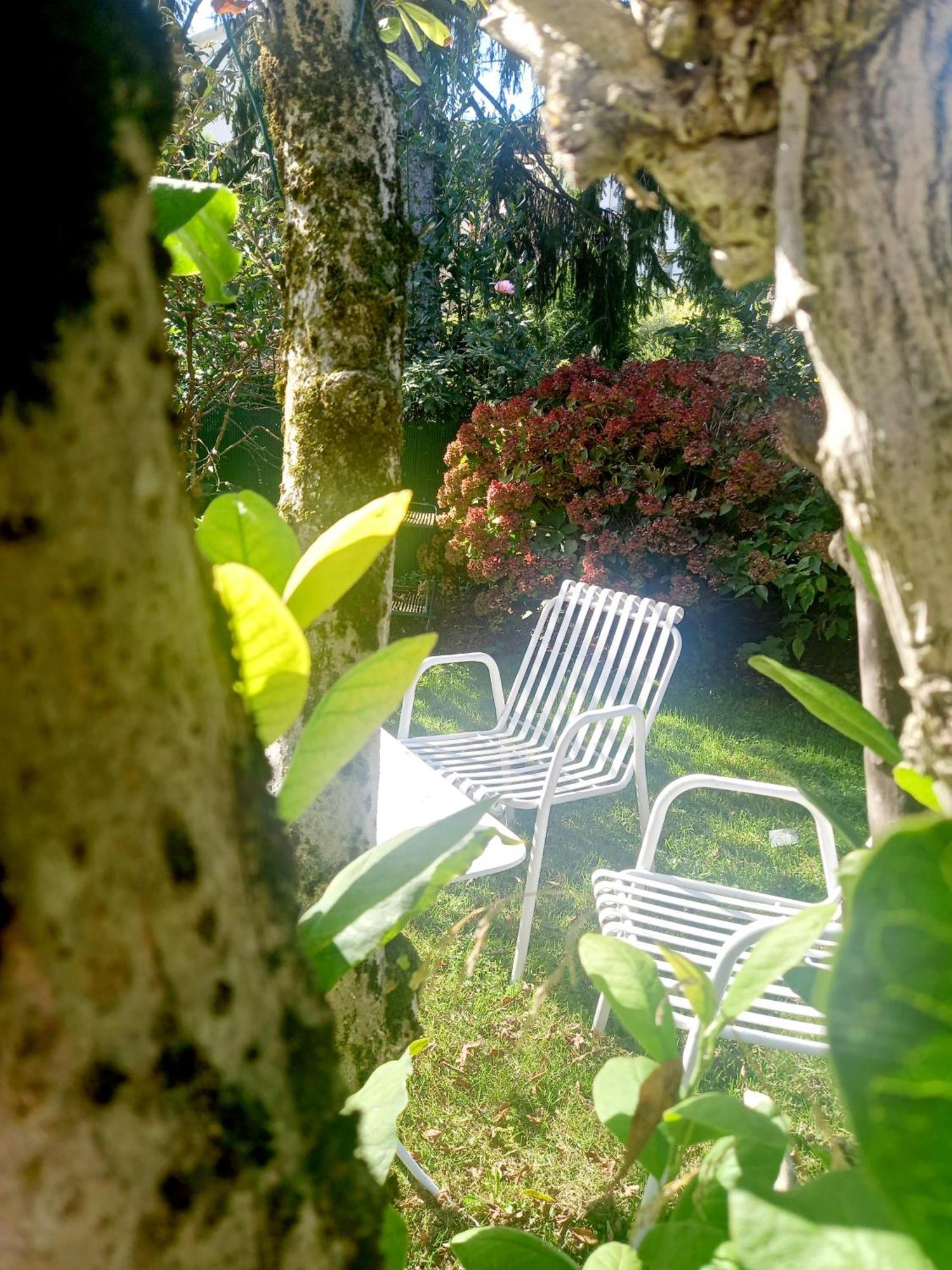 Bed and Breakfast A Casa Di Dora Treviso Exterior foto