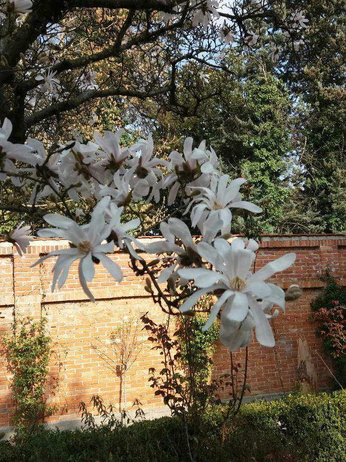 Bed and Breakfast A Casa Di Dora Treviso Exterior foto