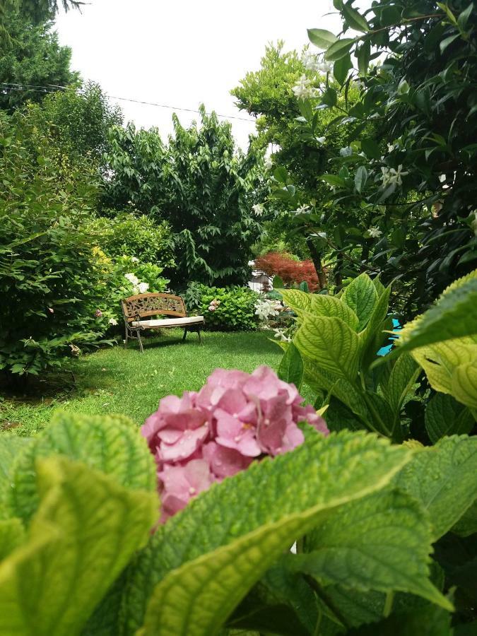 Bed and Breakfast A Casa Di Dora Treviso Exterior foto